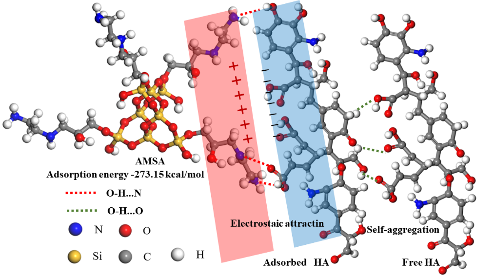 Paper4 吸附机理图