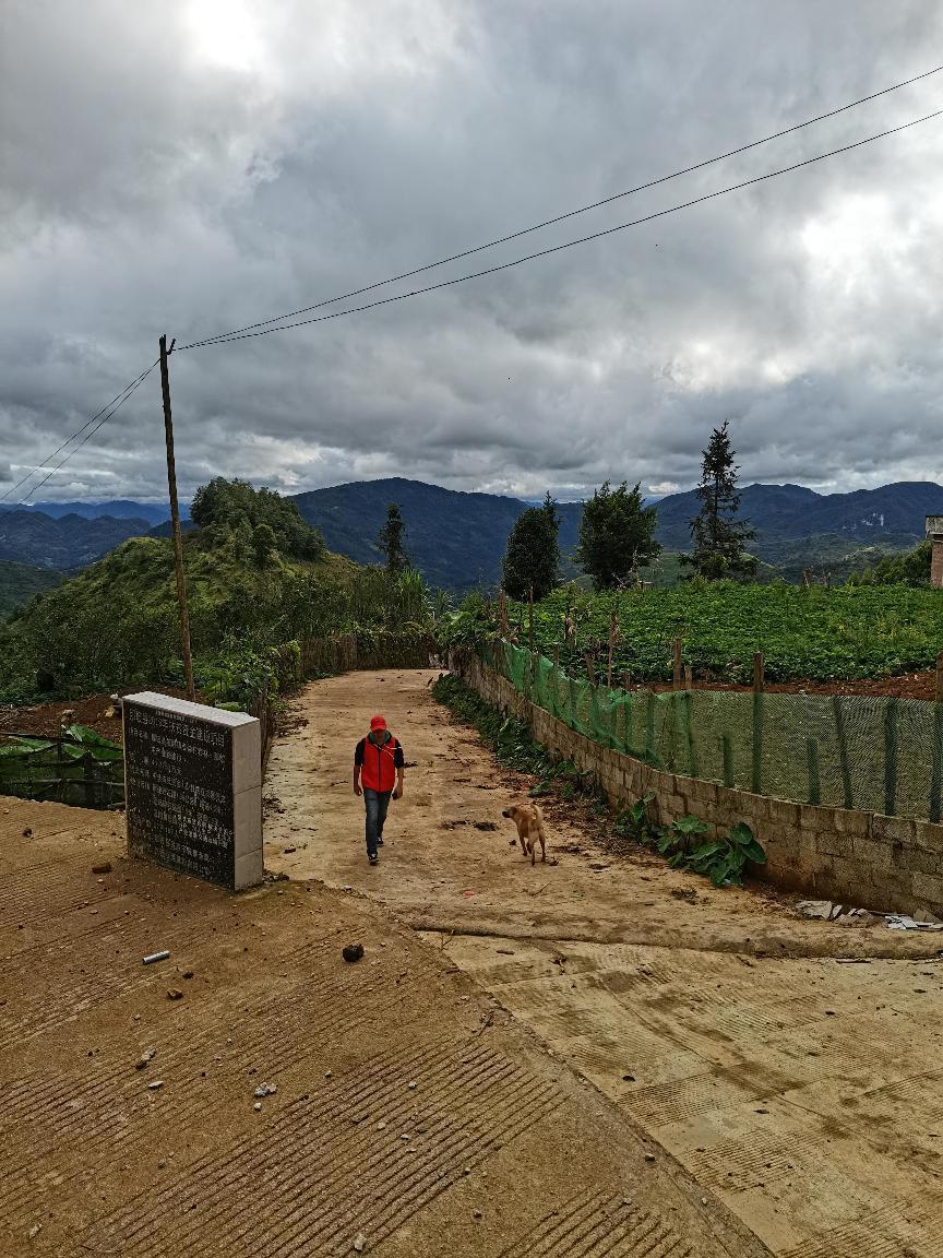 色情
-扶贫路上-陈宏